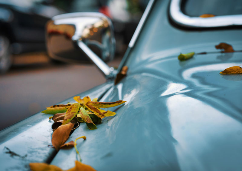 Choosing a car cover this Autumn